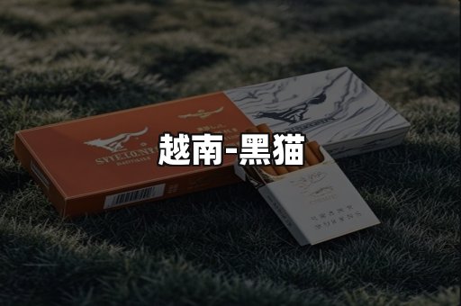 越南黑猫
